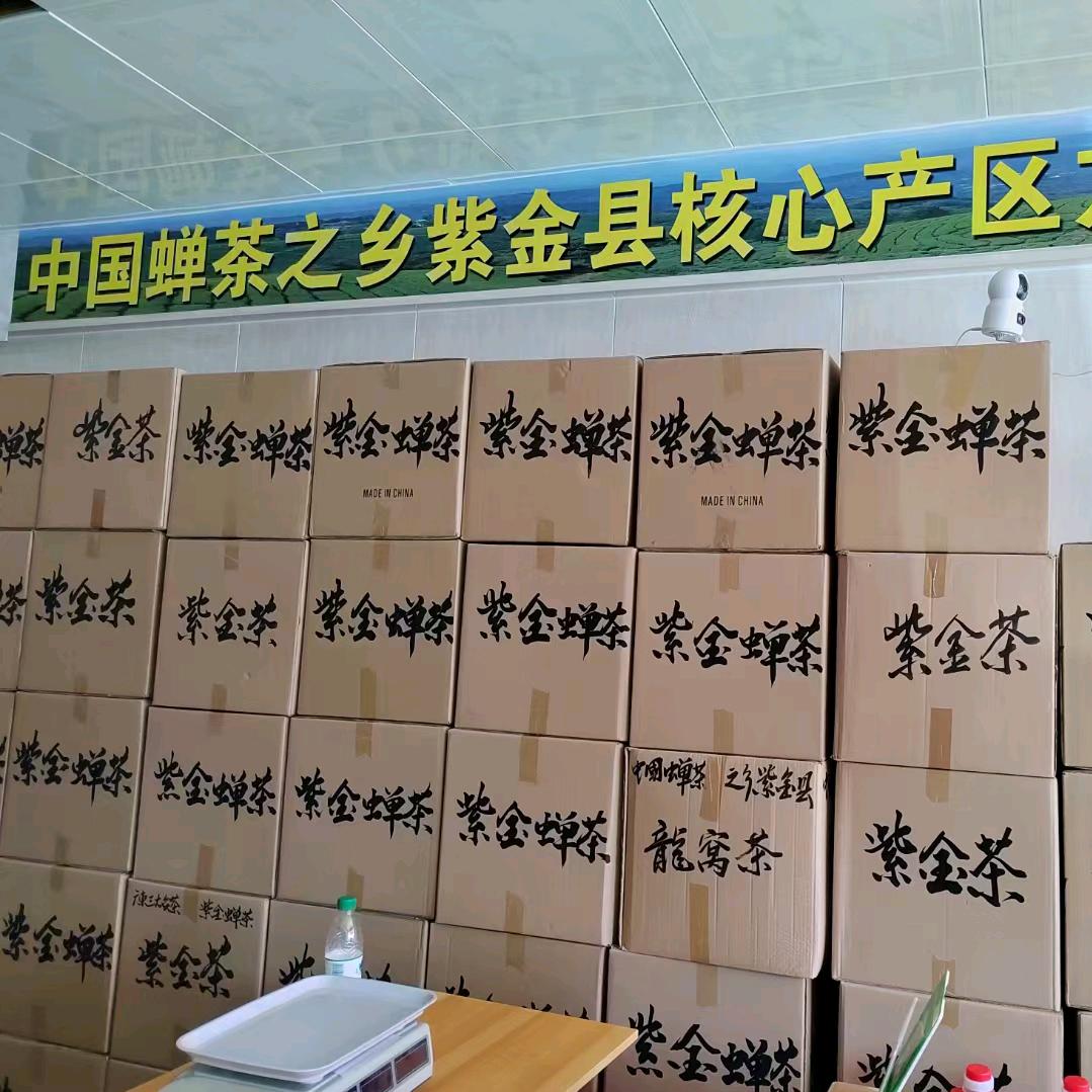 小叶紫金龙窝茶（满150减20元）