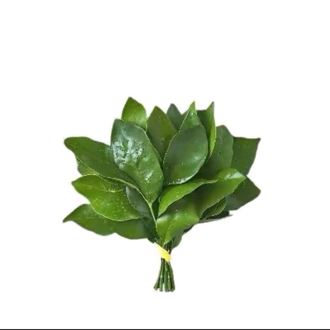 呆瓜