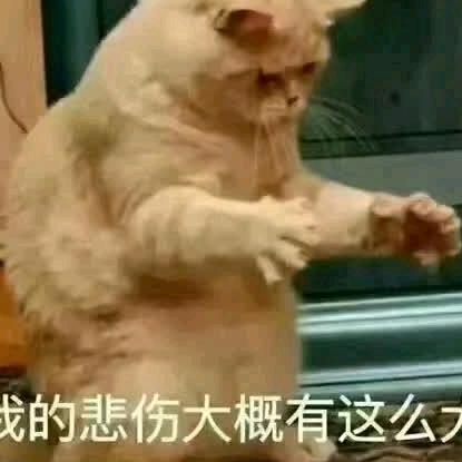 涯