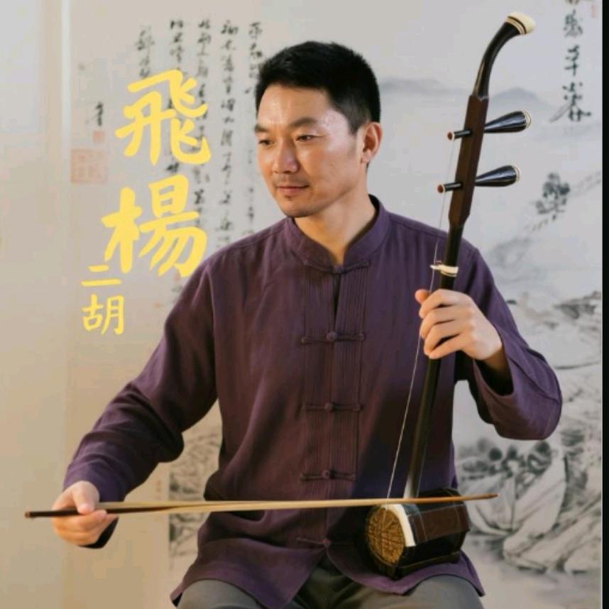 飛楊二胡