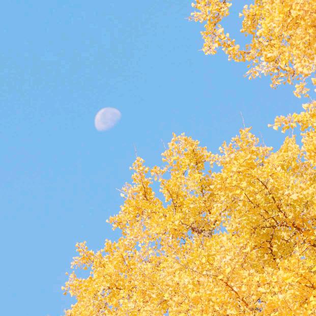 🌈徒手敬岁月☕