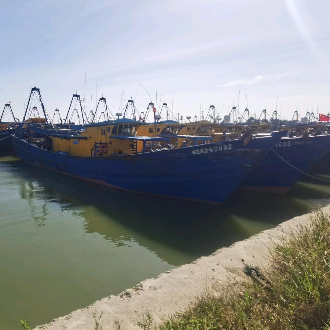 神泉港馨选海产