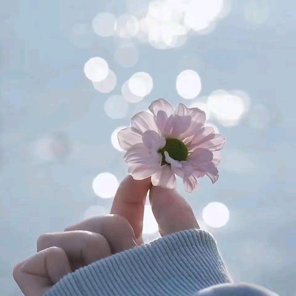 蜜糖