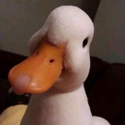 F J Y