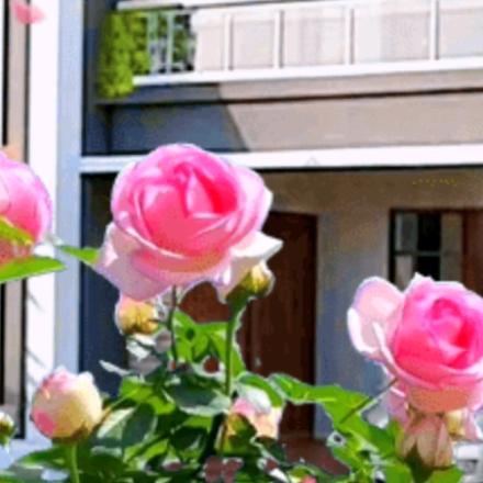 💞ල᭄蝴🦋蝶💖💖