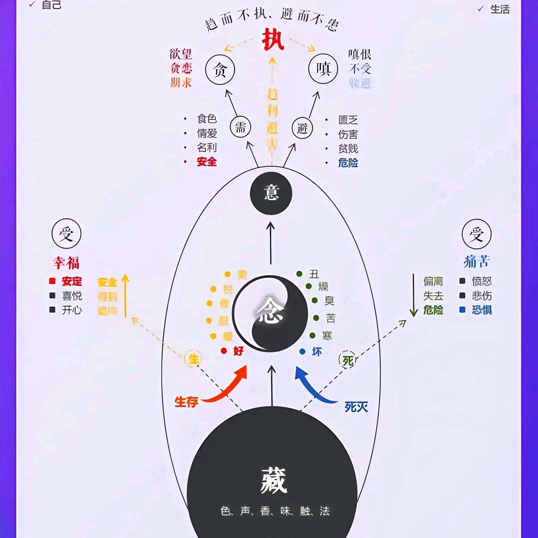 七叶琉璃