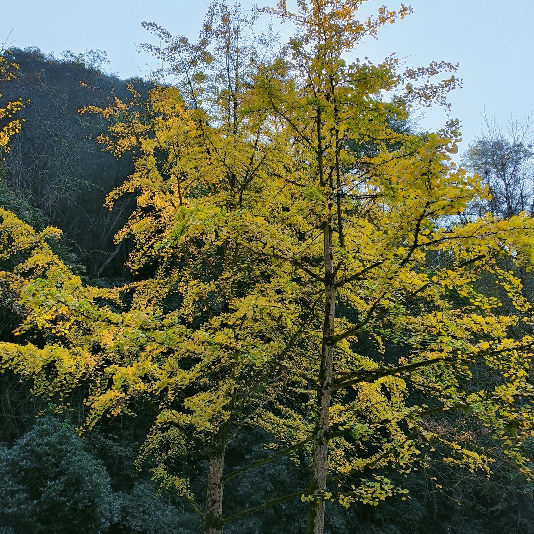 平凡 =͟͟͞͞🏀