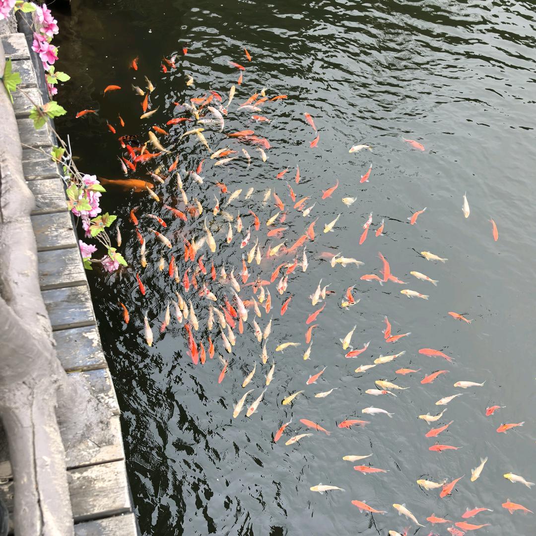 心灵驿站