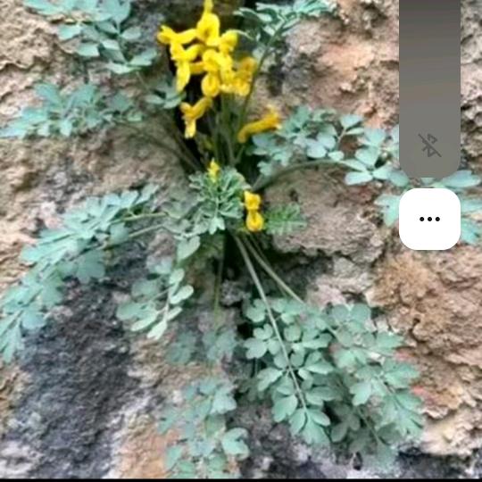 流浪四方走🤗🤗🤗🤗🤗