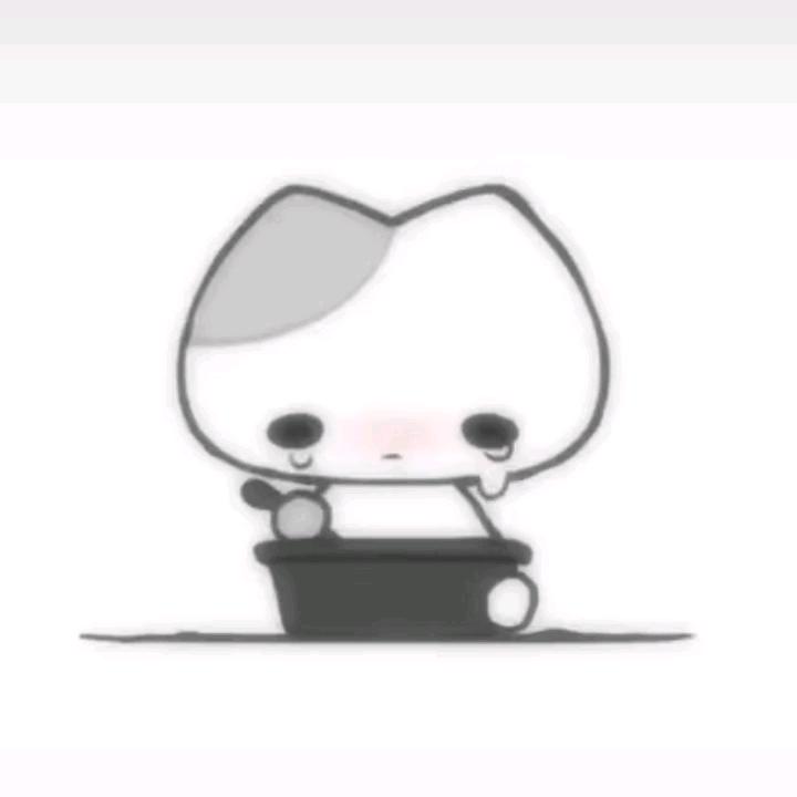 猫的第九尾