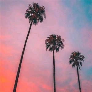 北方真选（橱窗）