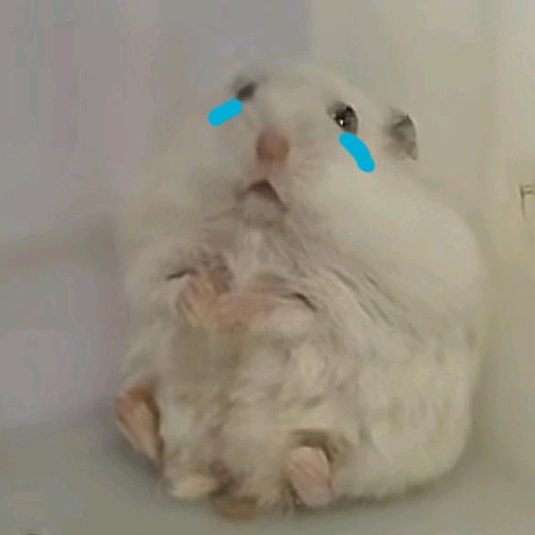 炼乳纯情老奶（回本版❤刷屏随拍❤日更号）