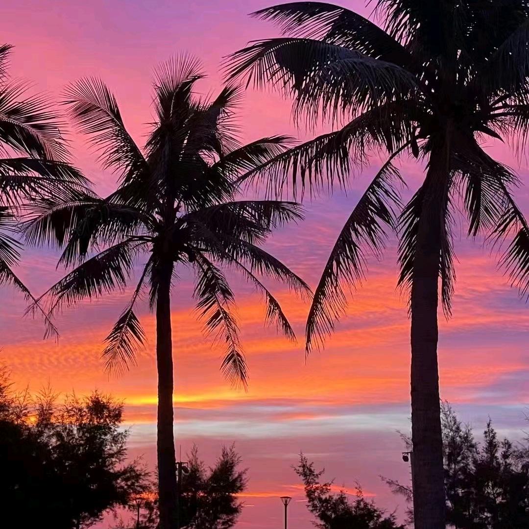 加油加油冲冲冲