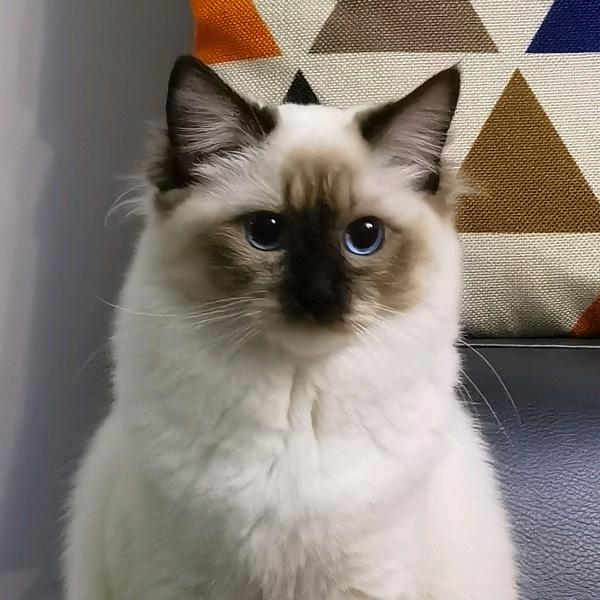 🌈🌈🌈阿伟otis