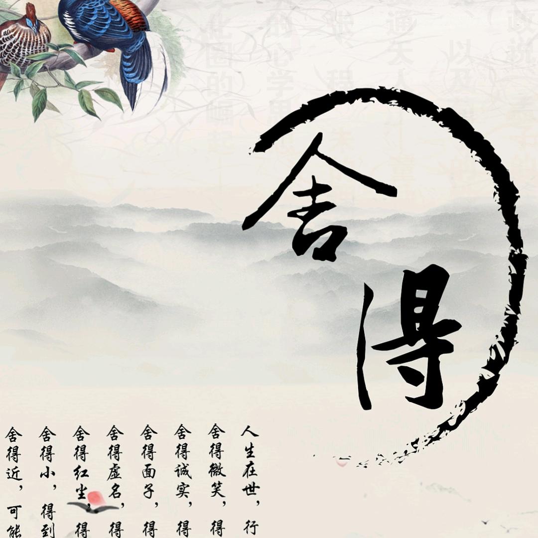 -舍得-