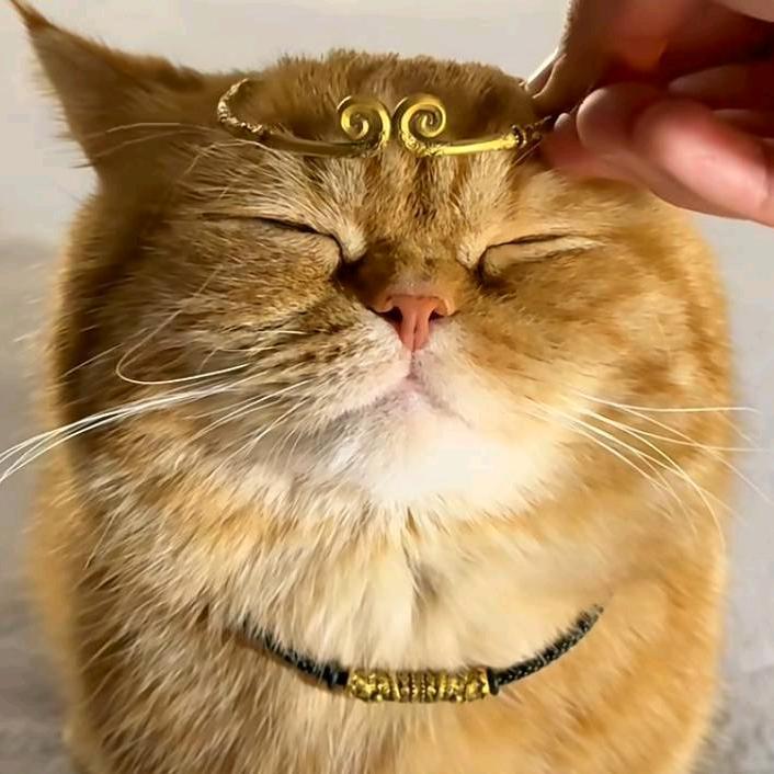 知足常乐(◍•ᴗ•◍)❤