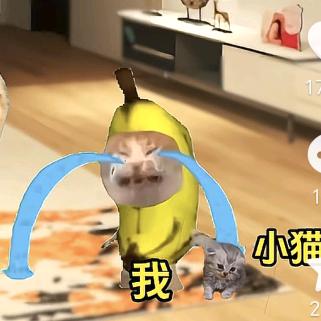 小贾meme小剧场