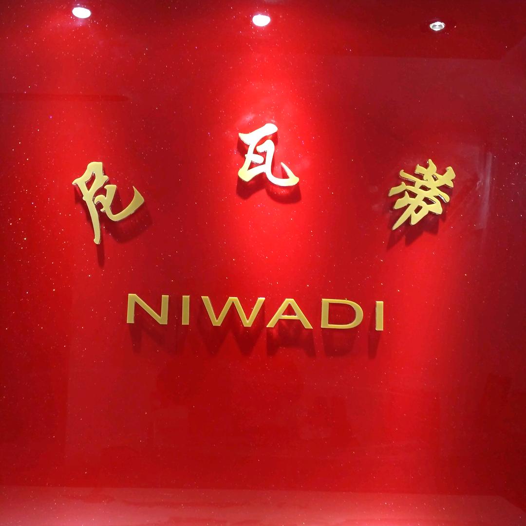 尼瓦蒂电热皮鞋