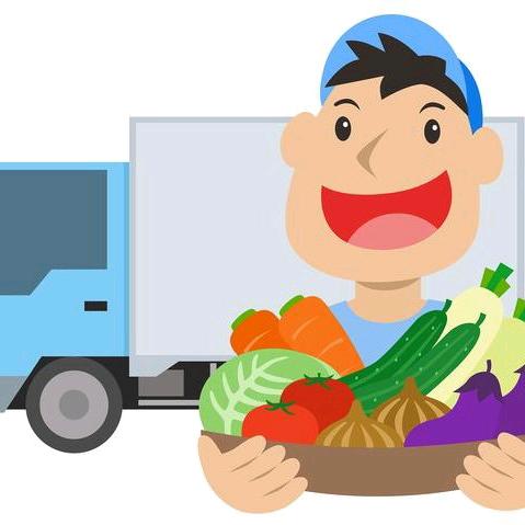 蔬鑫达生鲜食材配送