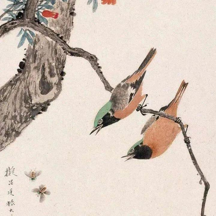 @杨少