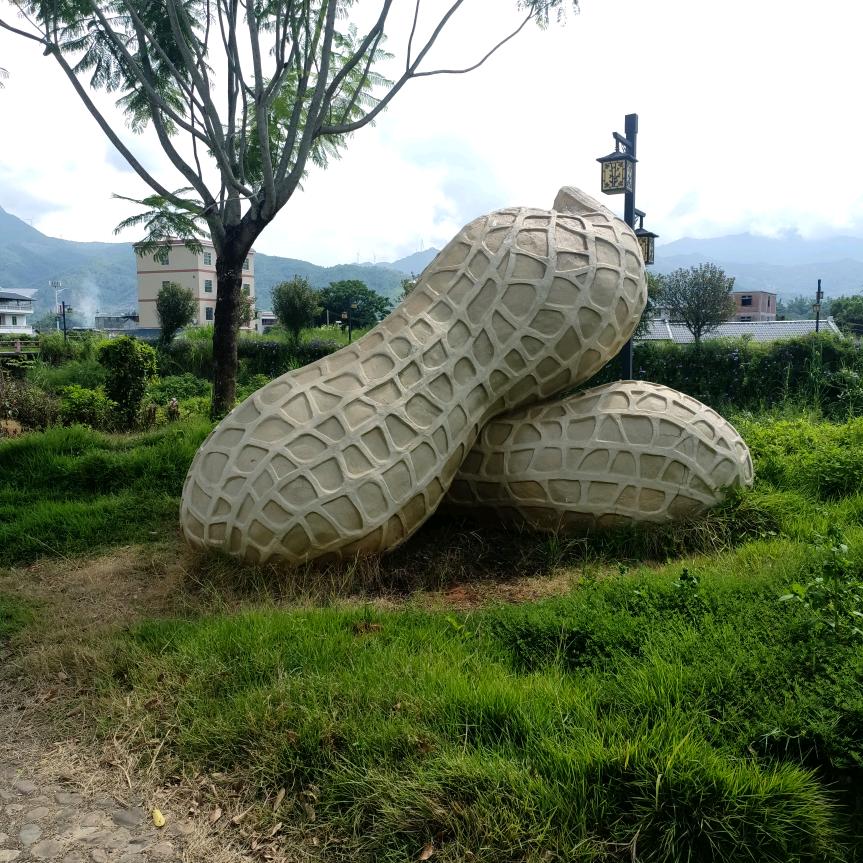 音乐有风景