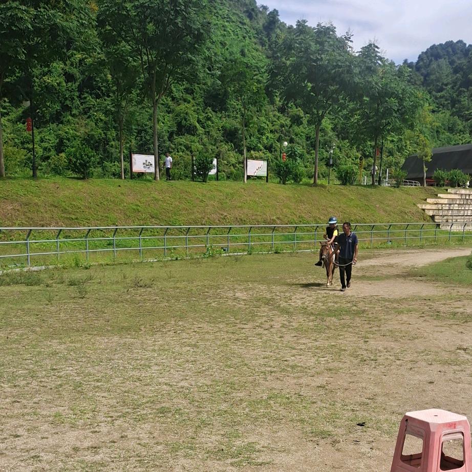 王雨晨王俊爸爸