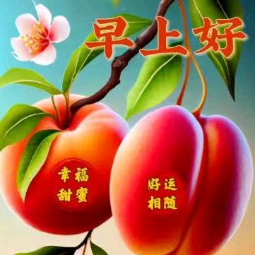 幸福快乐到永远