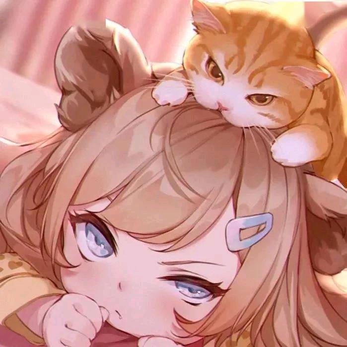 喜欢荷兰鼠的张俊美