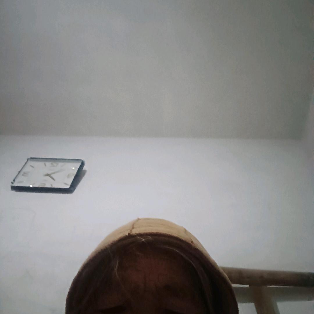 六六