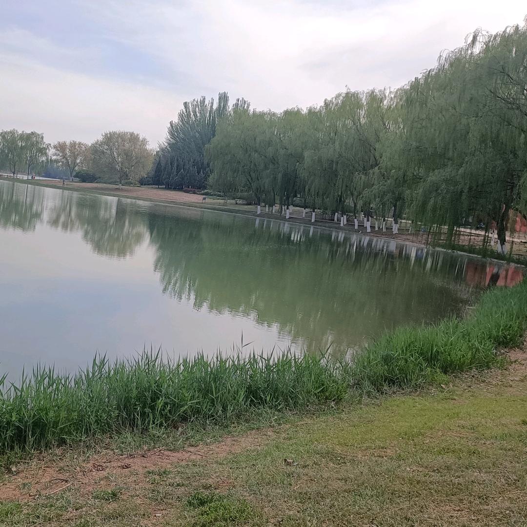 最熟悉的陌生人