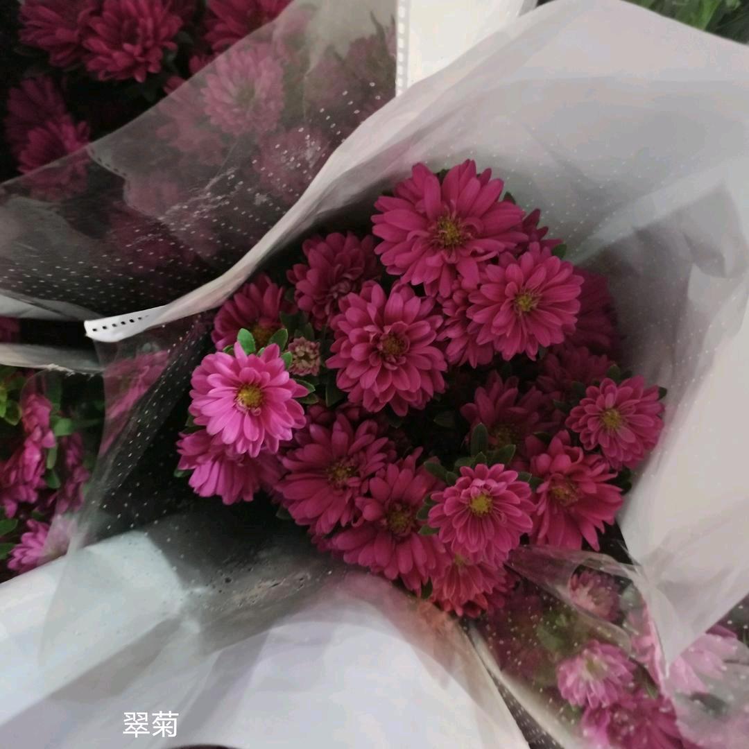 钱💰进兜兜斗南鲜花批发