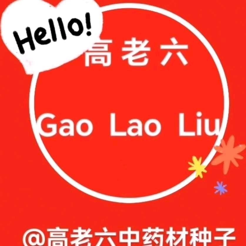 高老六中药材种子