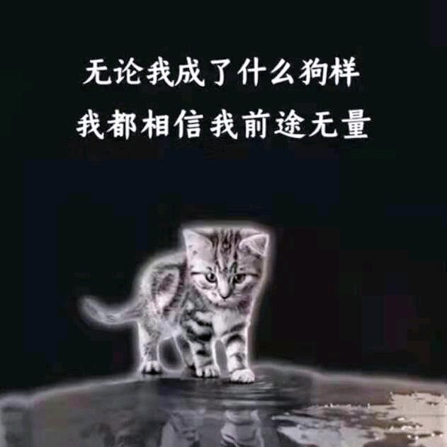 金鸿