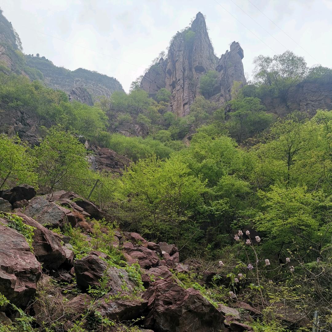 彼岸一族
