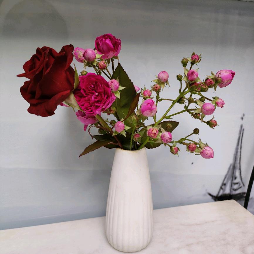 ༄༊࿆锦瑟ོྂཾ࿆࿐