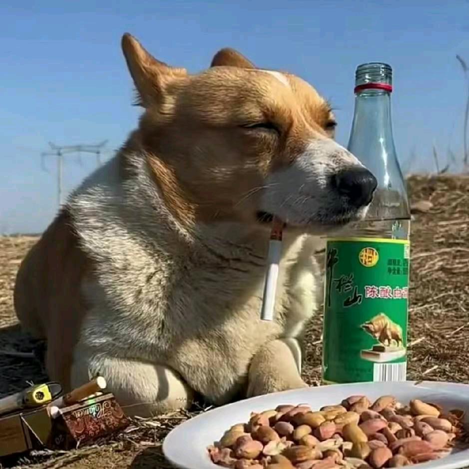 德