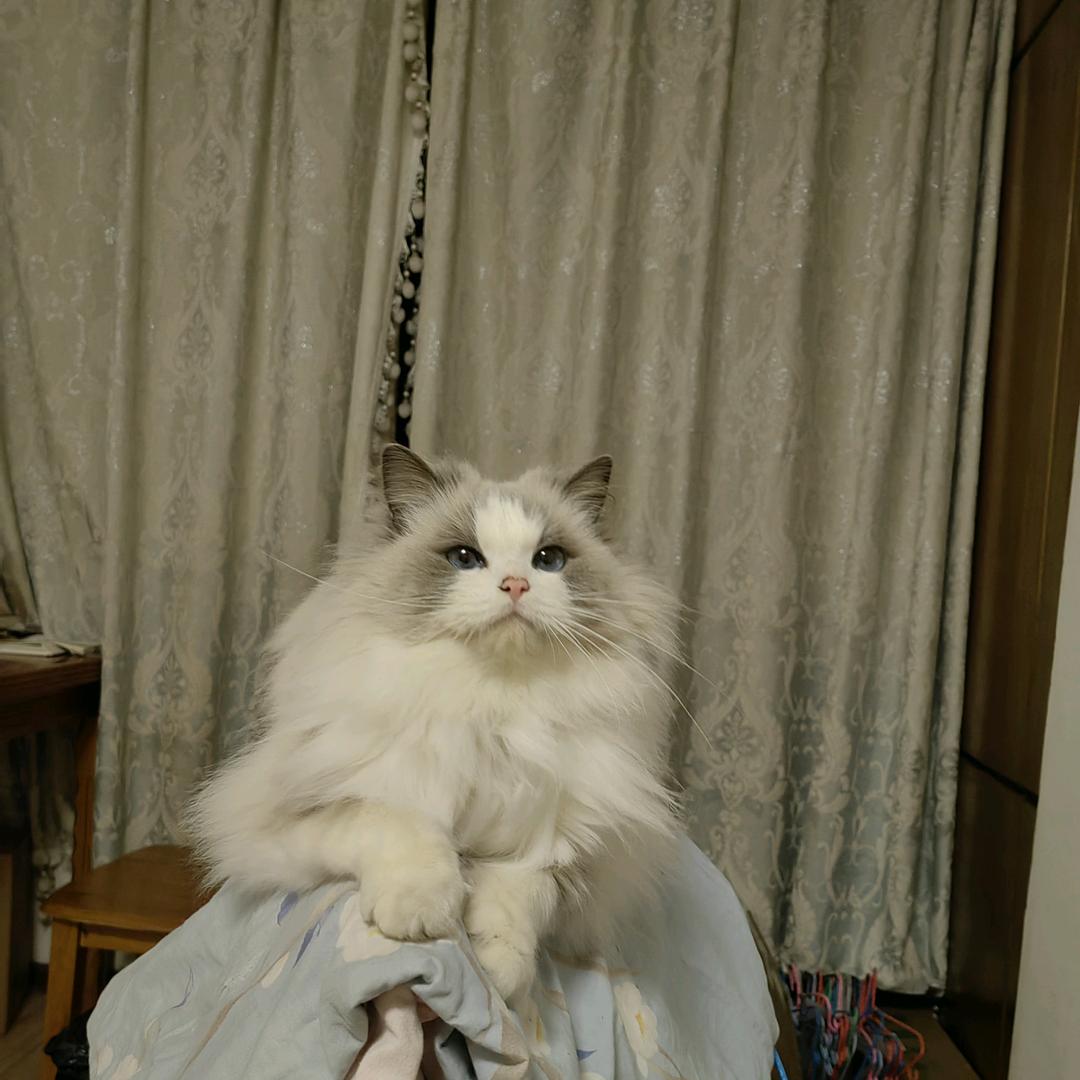 雪糕～