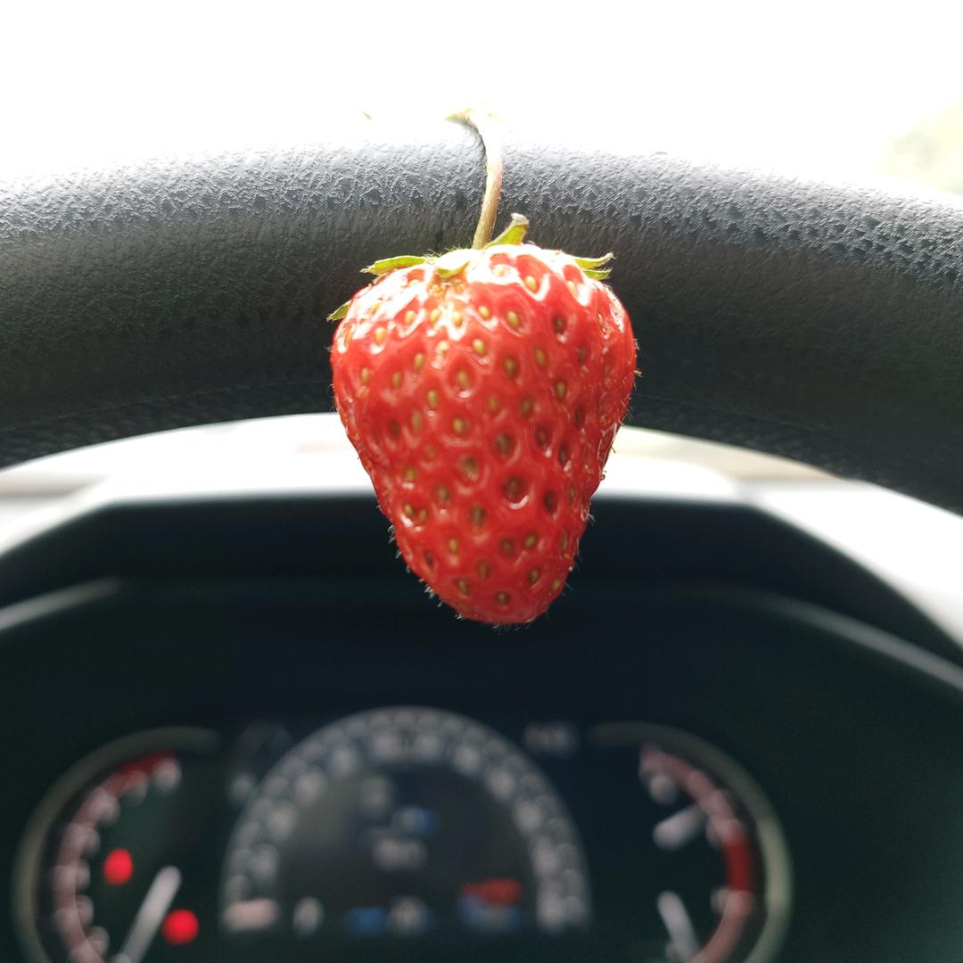 懵懵懂懂