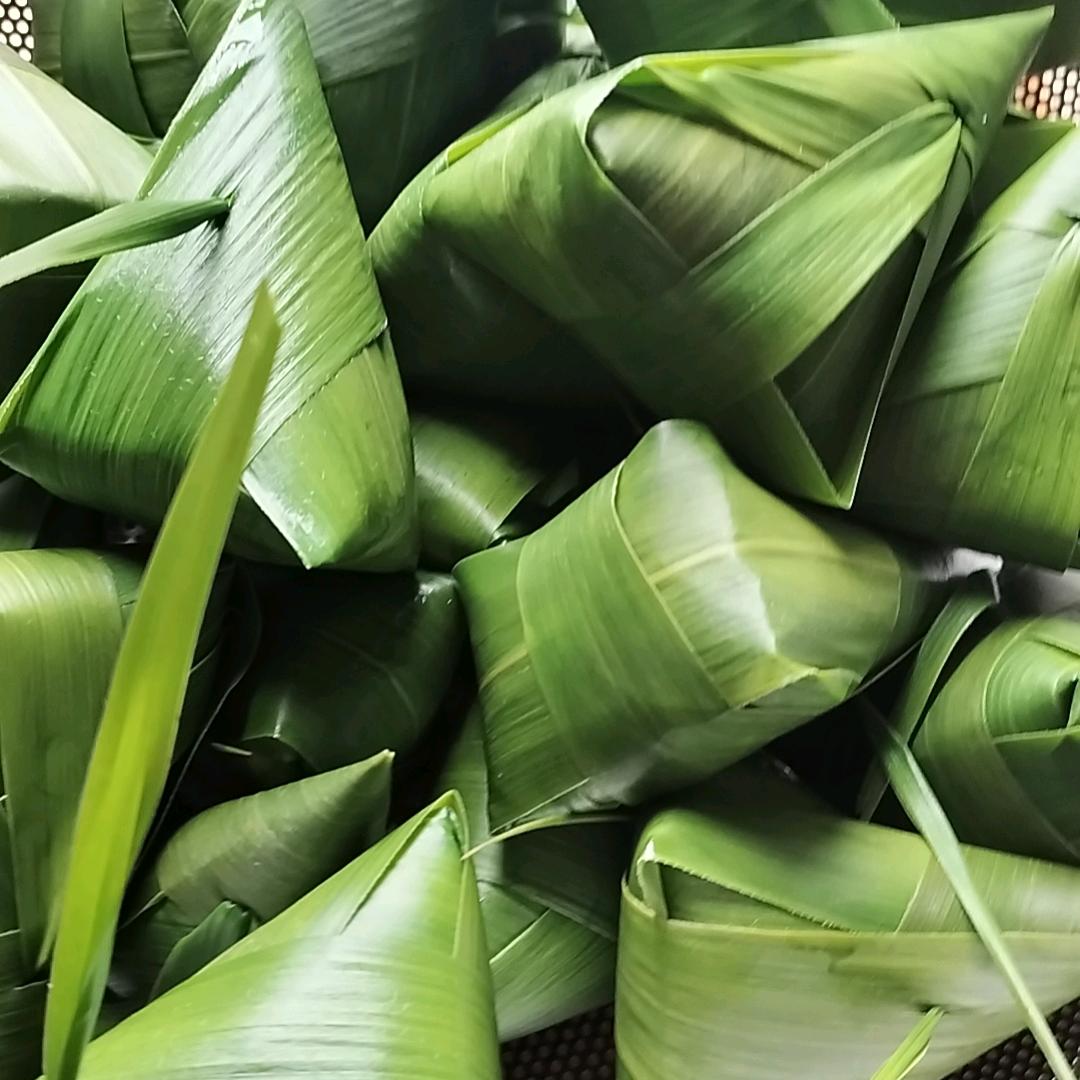 柴火粽子（不定时直播）