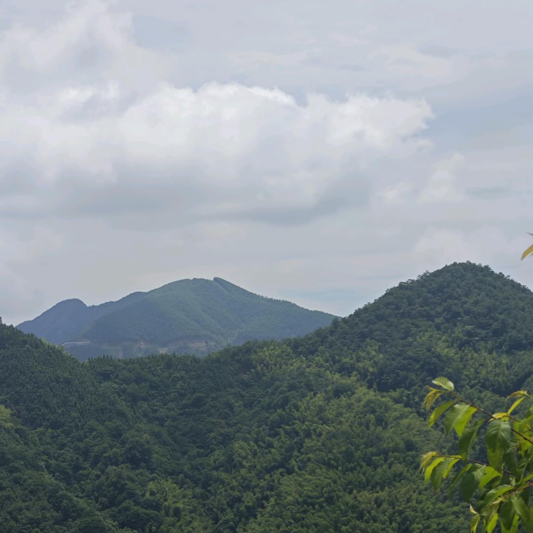 龙仔