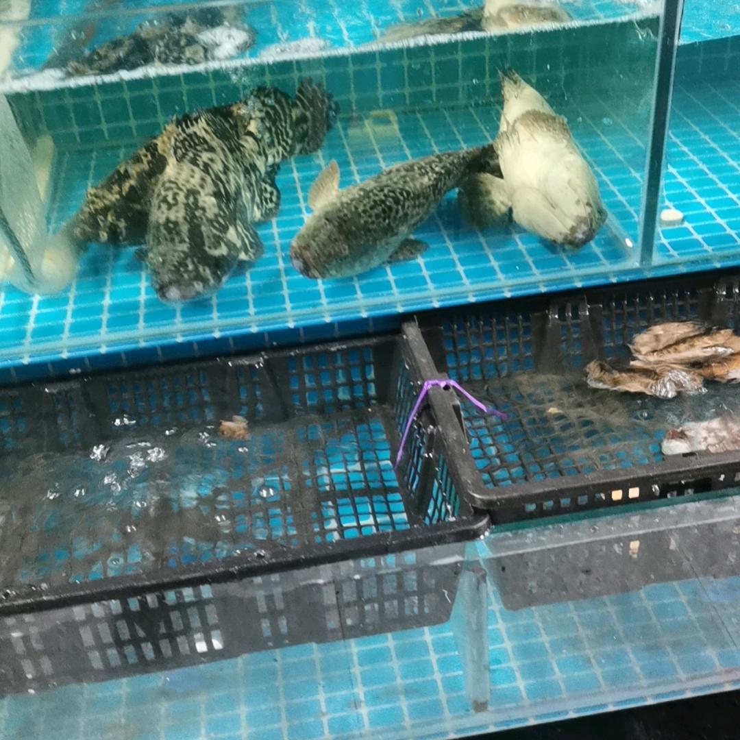 用户5691728718251马上到家了