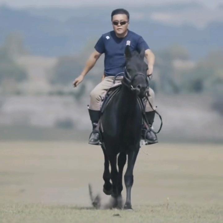 护城河里的鸭子