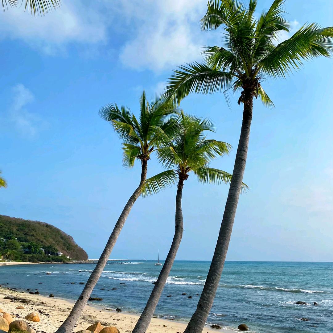 1切都是最好的安排