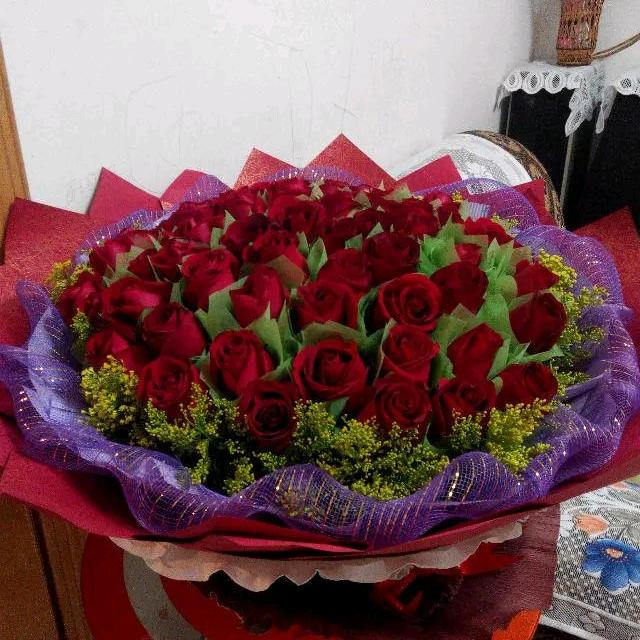 芬儿