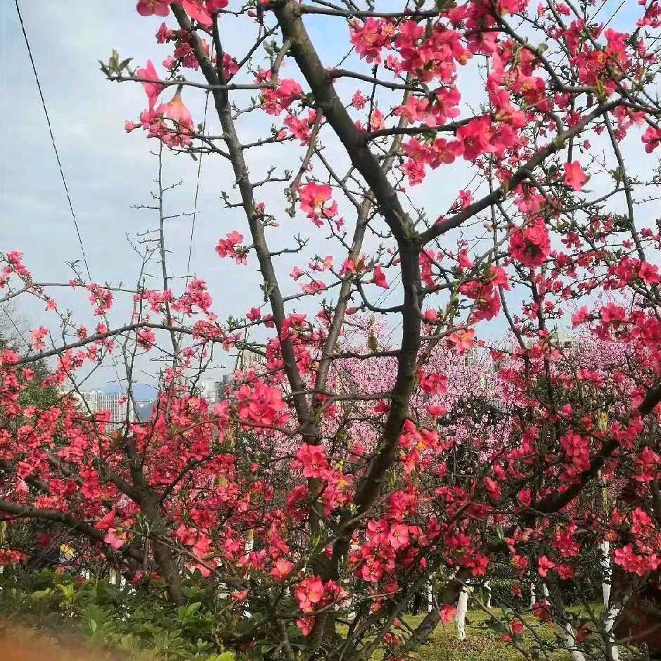 余生醉美