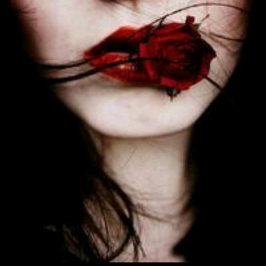 ㅤ     ㅤ    ㅤ