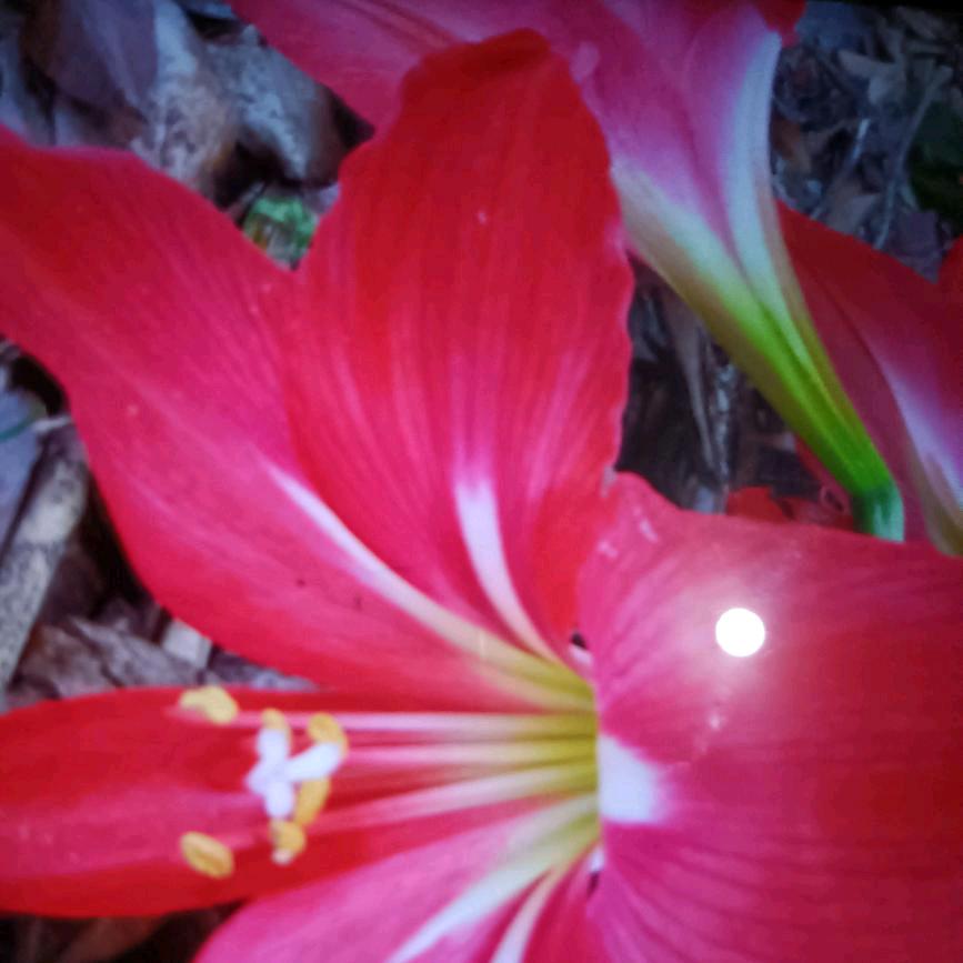 你是我的亲人。