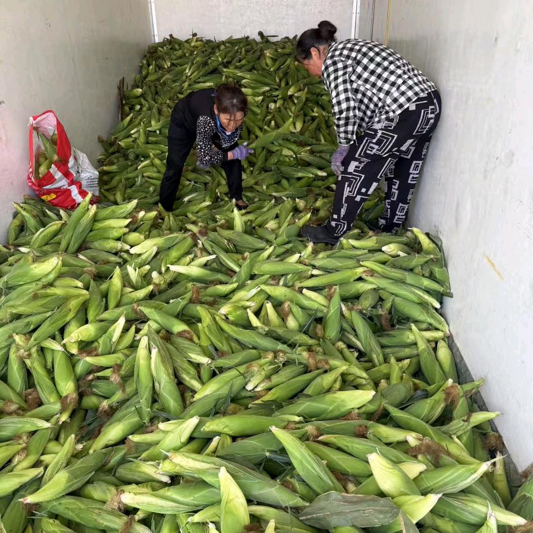 助农销售瓜果蔬菜农产品