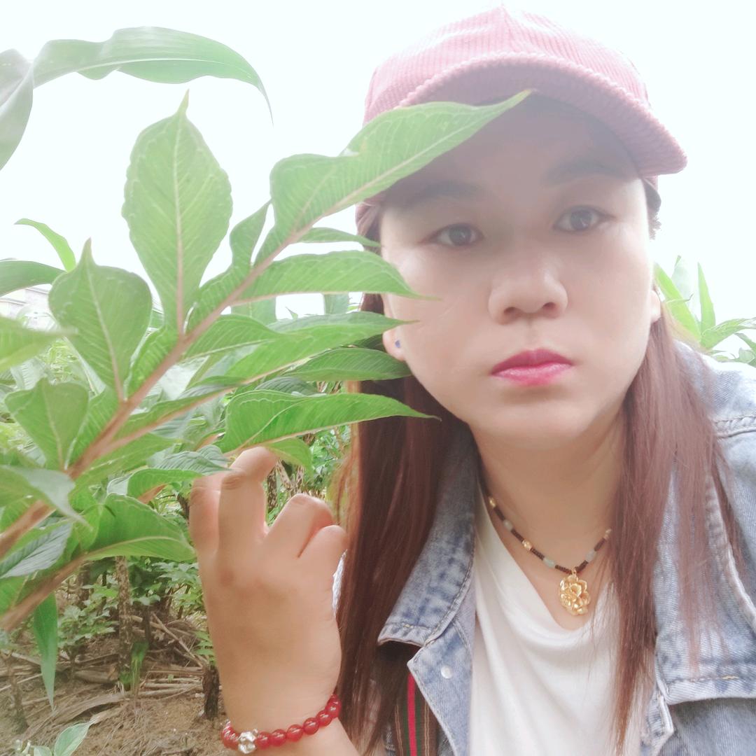齐丰魔芋～小芋妹经营部