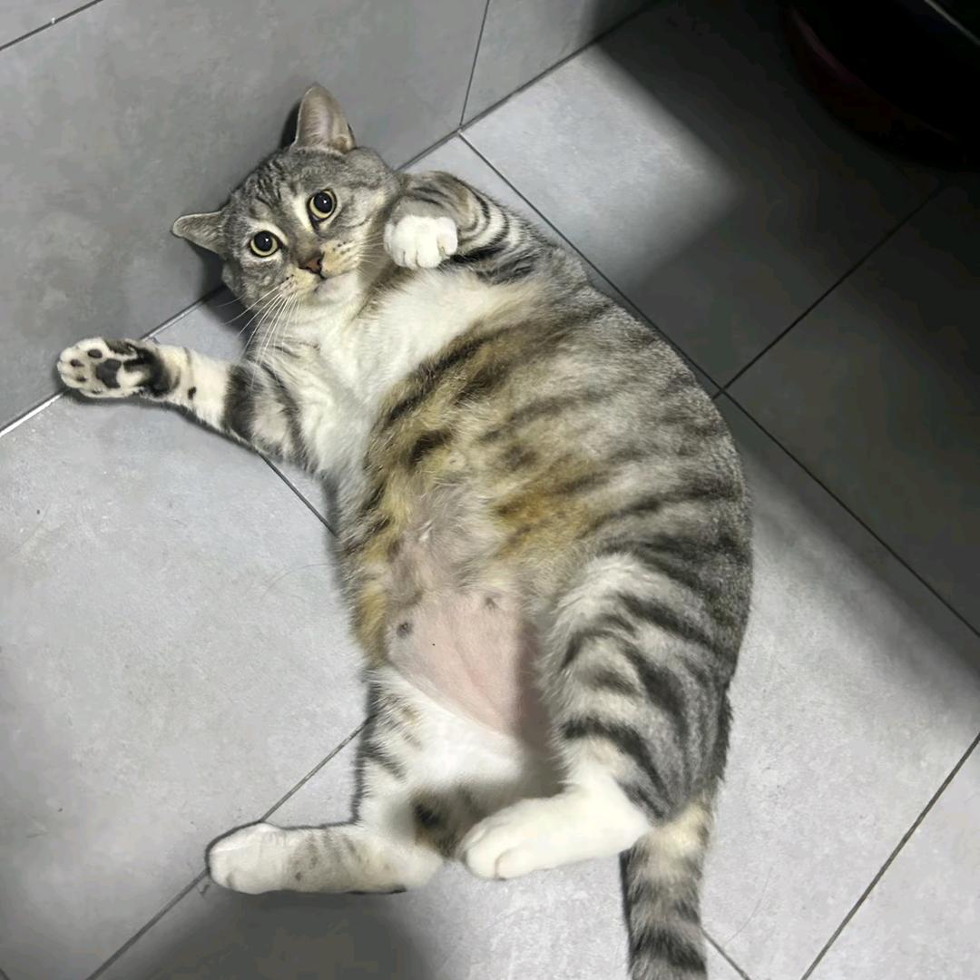 啊啊啊对对对